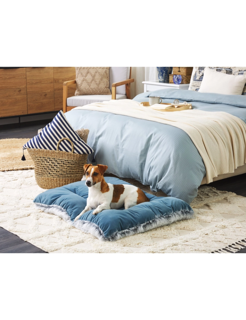 Beliani - Cama para animal de estimação em veludo azul 90 x 60 cm ERGANI