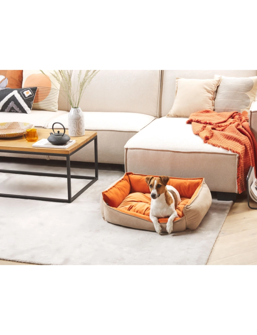 Beliani - Cama de animal em veludo laranja e creme 70 x 60 cm IZMIR