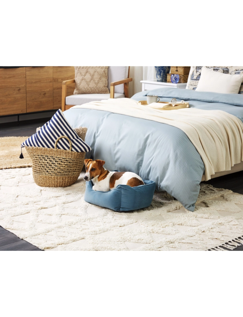 Beliani - Cama de animal em veludo azul 50 x 35 cm IZMIR