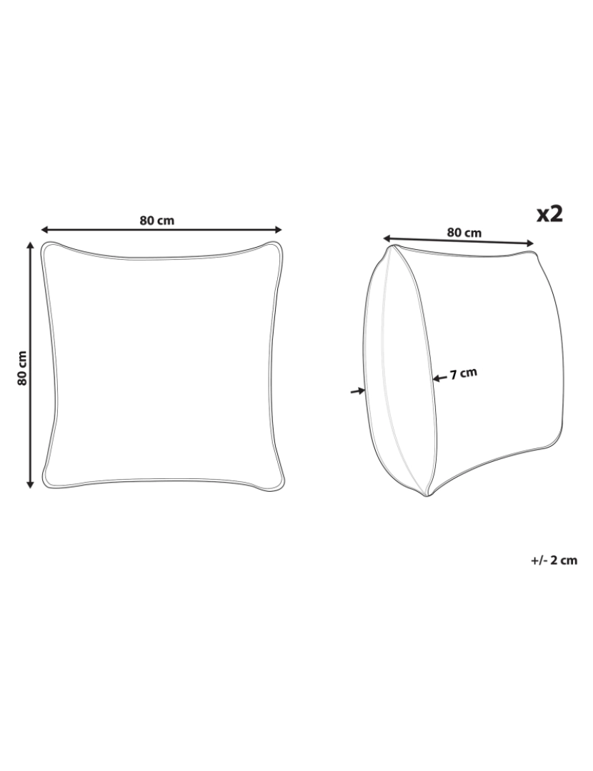 imagem de Conjunto de 2 almofadas de baixo perfil em microfibra 80 x 80 cm ERRIGAL3
