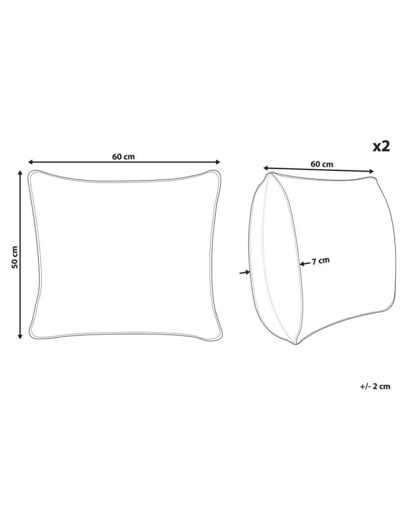 imagem de Conjunto de 2 almofadas de baixo perfil em microfibra 50 x 60 cm ERRIGAL3
