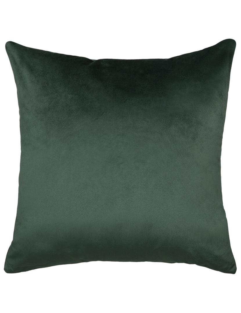 imagem de Conjunto de 2 almofadas Veludo Verde escuro BLITZEN 45 x 45 cm5