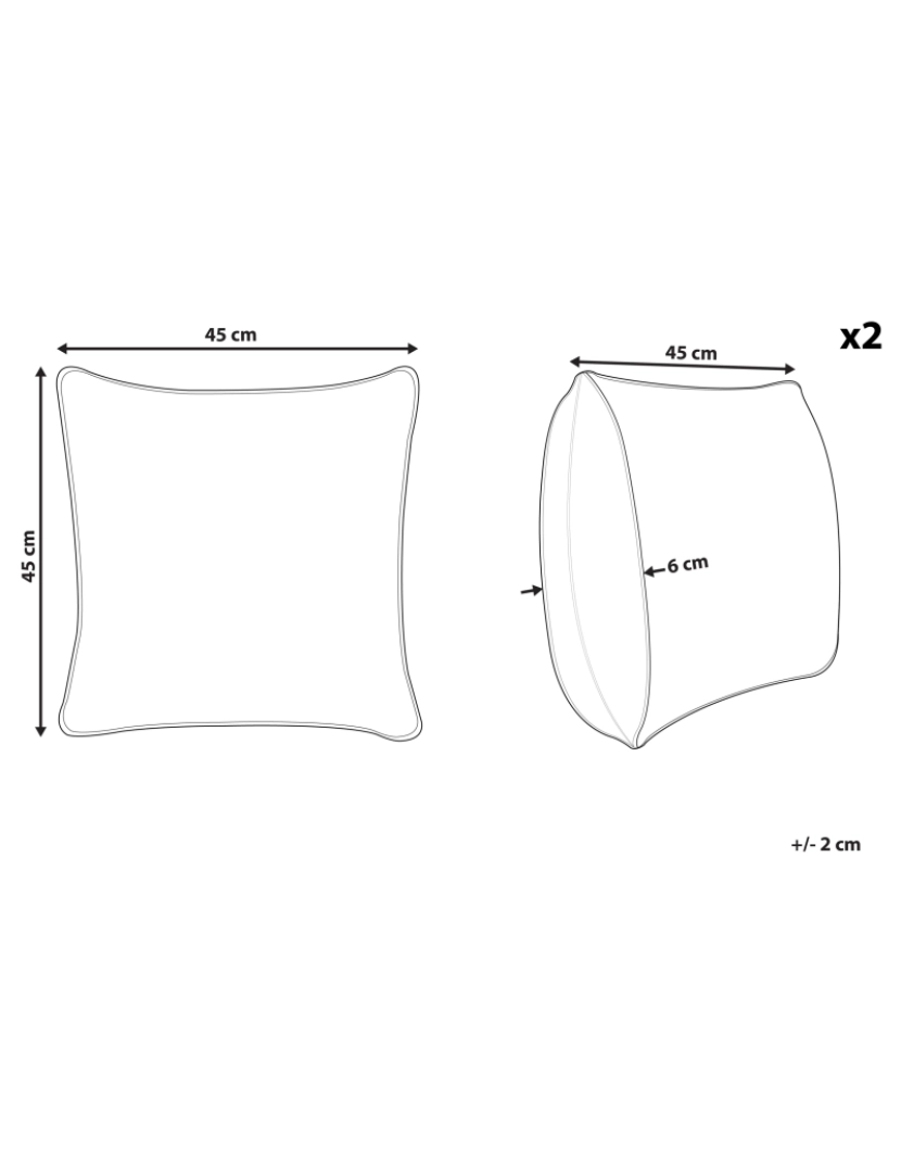 imagem de Conjunto de 2 almofadas Creme ARBOR 45 x 45 cm3