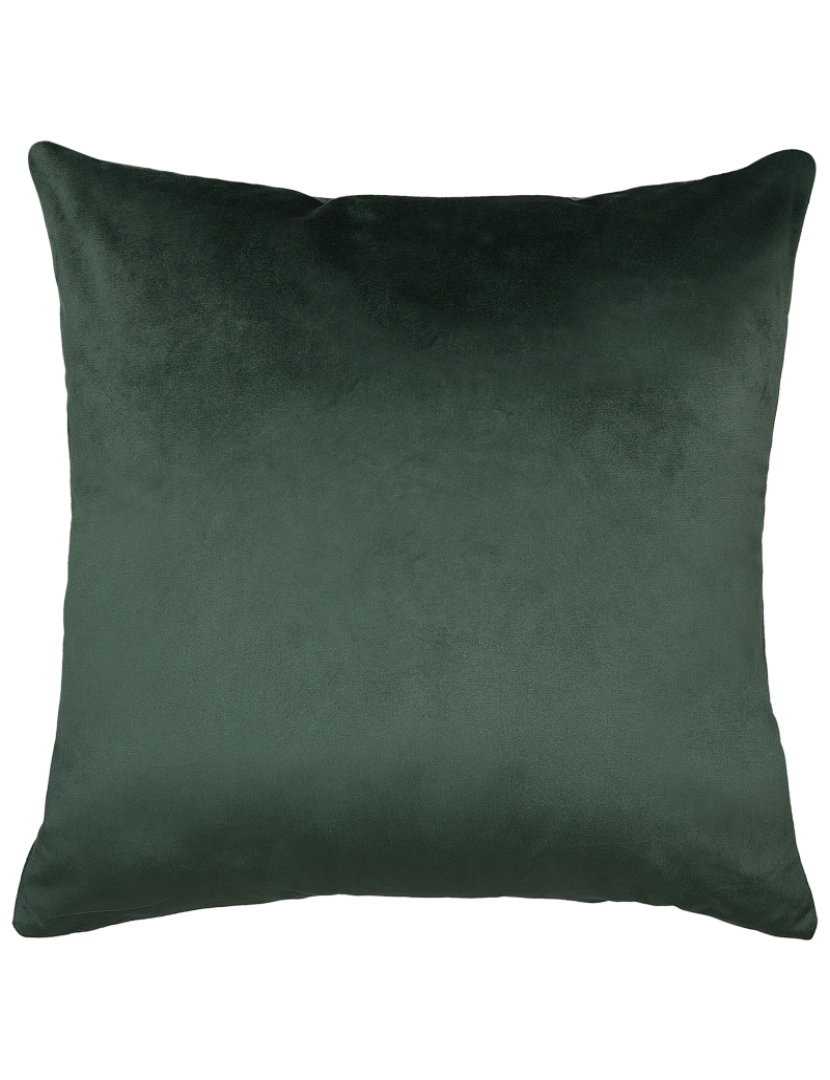 imagem de Conjunto de 2 almofadas Veludo Verde escuro BELLEROSE 45 x 45 cm5