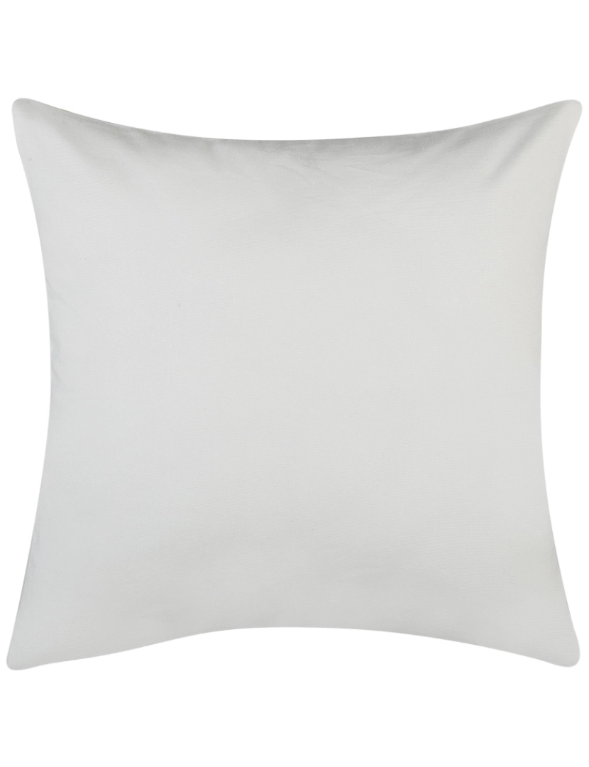 imagem de Conjunto de 2 almofadas Algodão Branco ALYSSUM 45 x 45 cm5