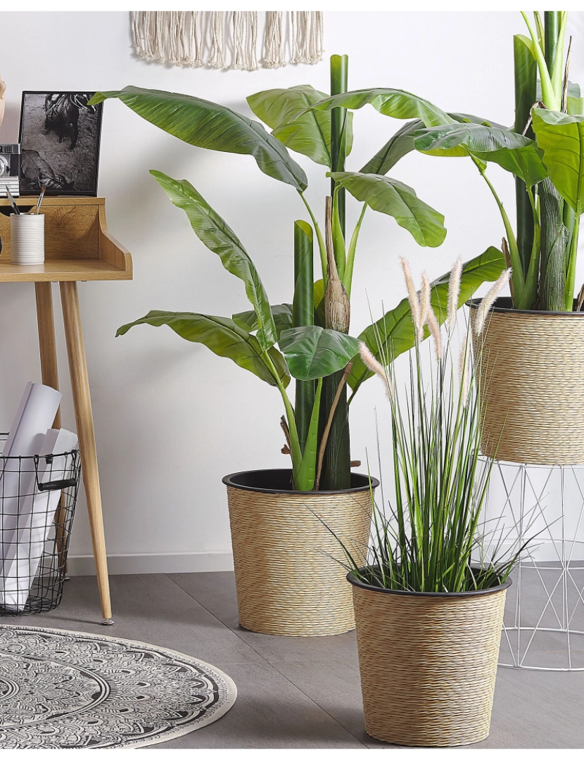 Beliani - Planta artificial em vaso 154 cm BANANA TREE