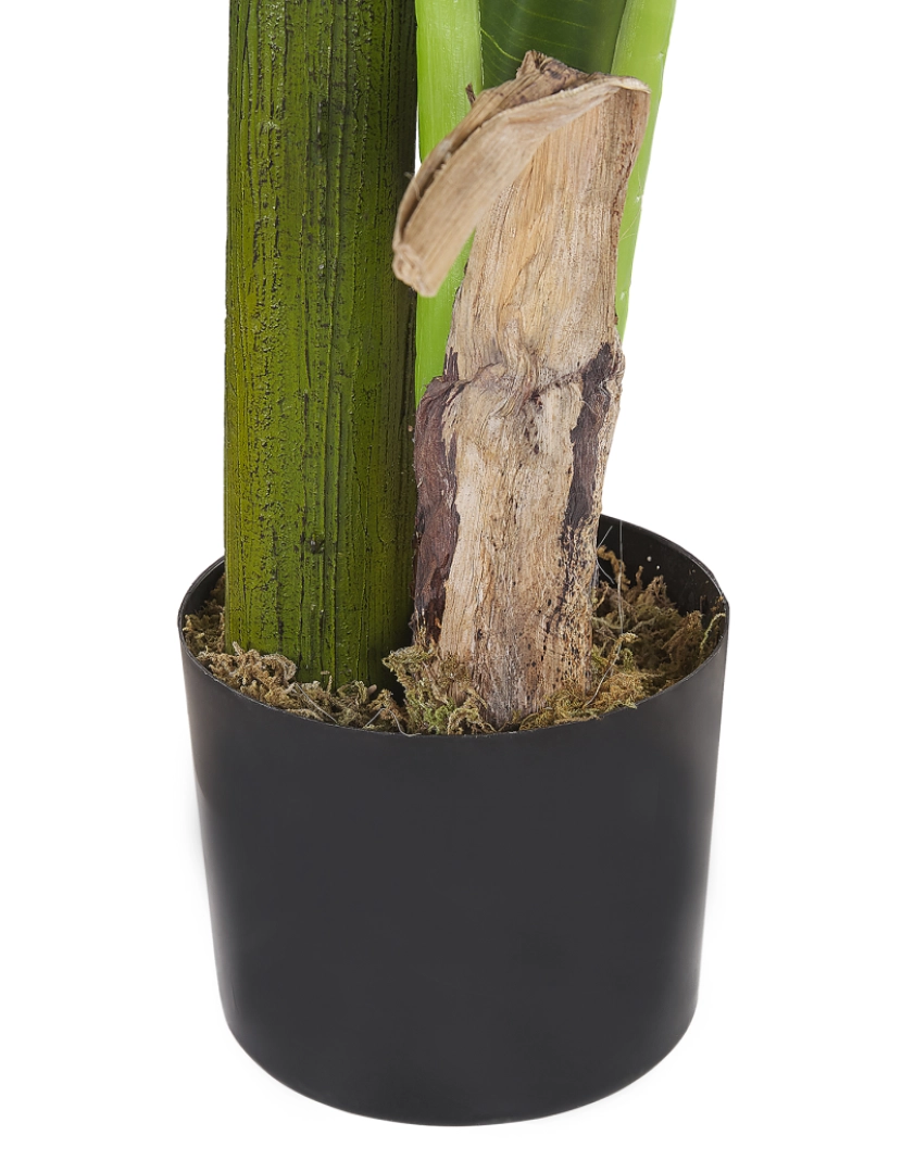 imagem de Planta artificial em vaso 154 cm BANANA TREE5