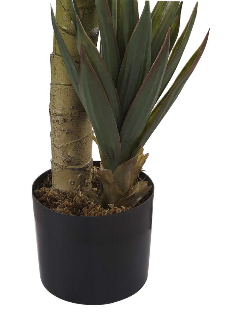 imagem de Planta artificial em vaso 90 cm YUCCA5