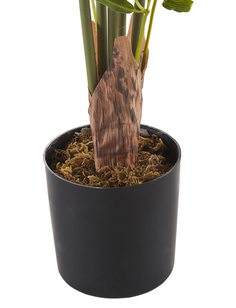 imagem de Planta artificial em vaso 160 cm BAMBUSA VULGARIS6