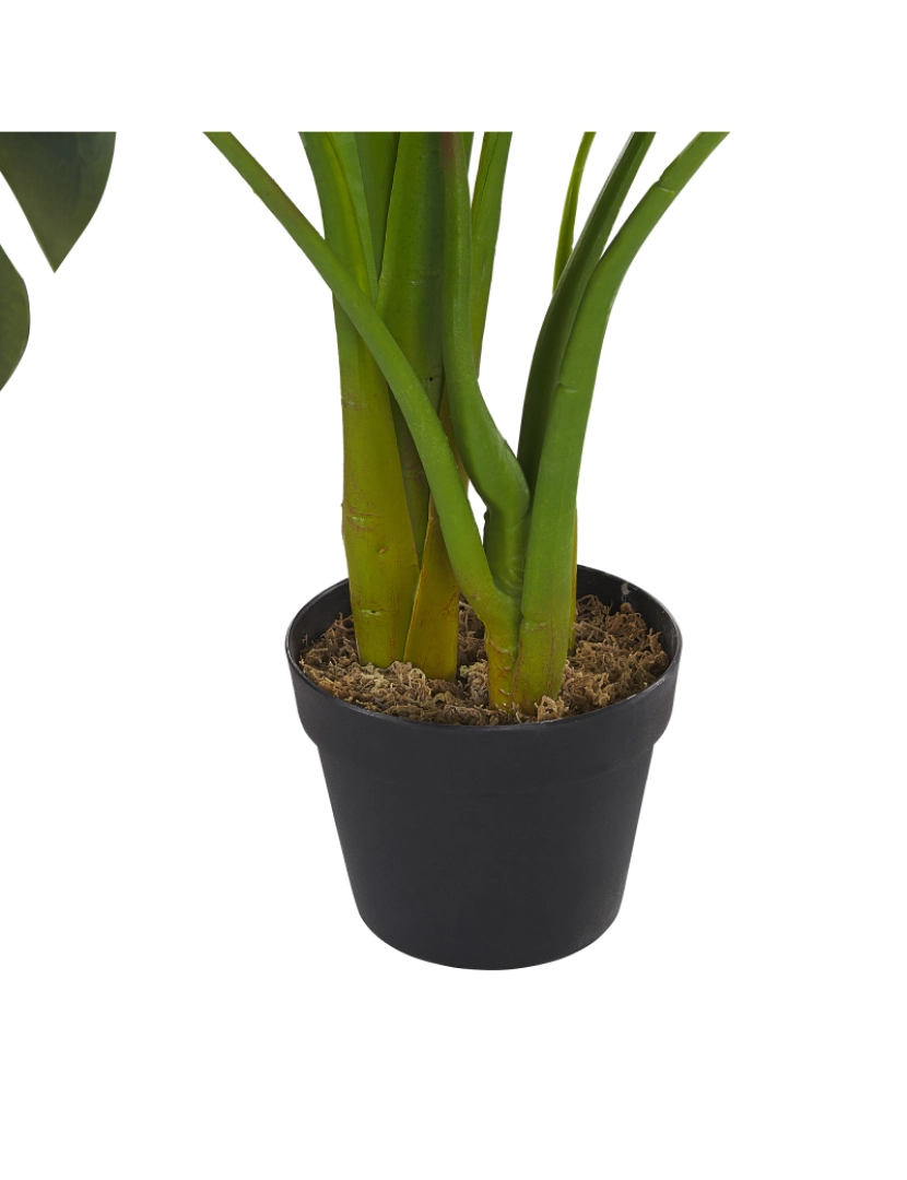 imagem de Planta artificial em vaso 113 cm MONSTERA PLANT5