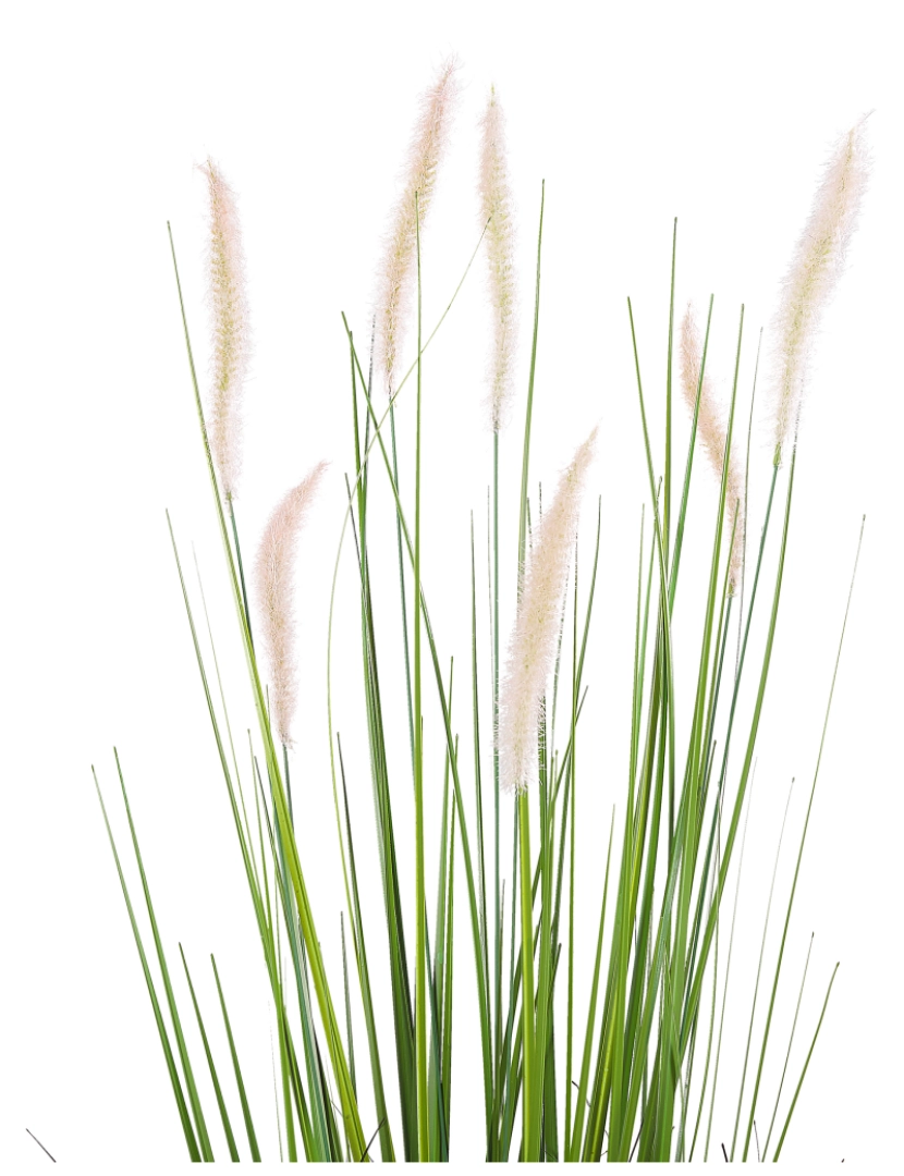 imagem de Planta artificial em vaso 87 cm REED PLANT4