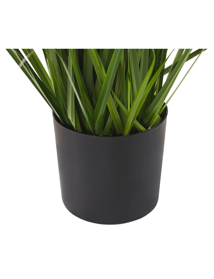 imagem de Planta artificial em vaso 87 cm REED PLANT5