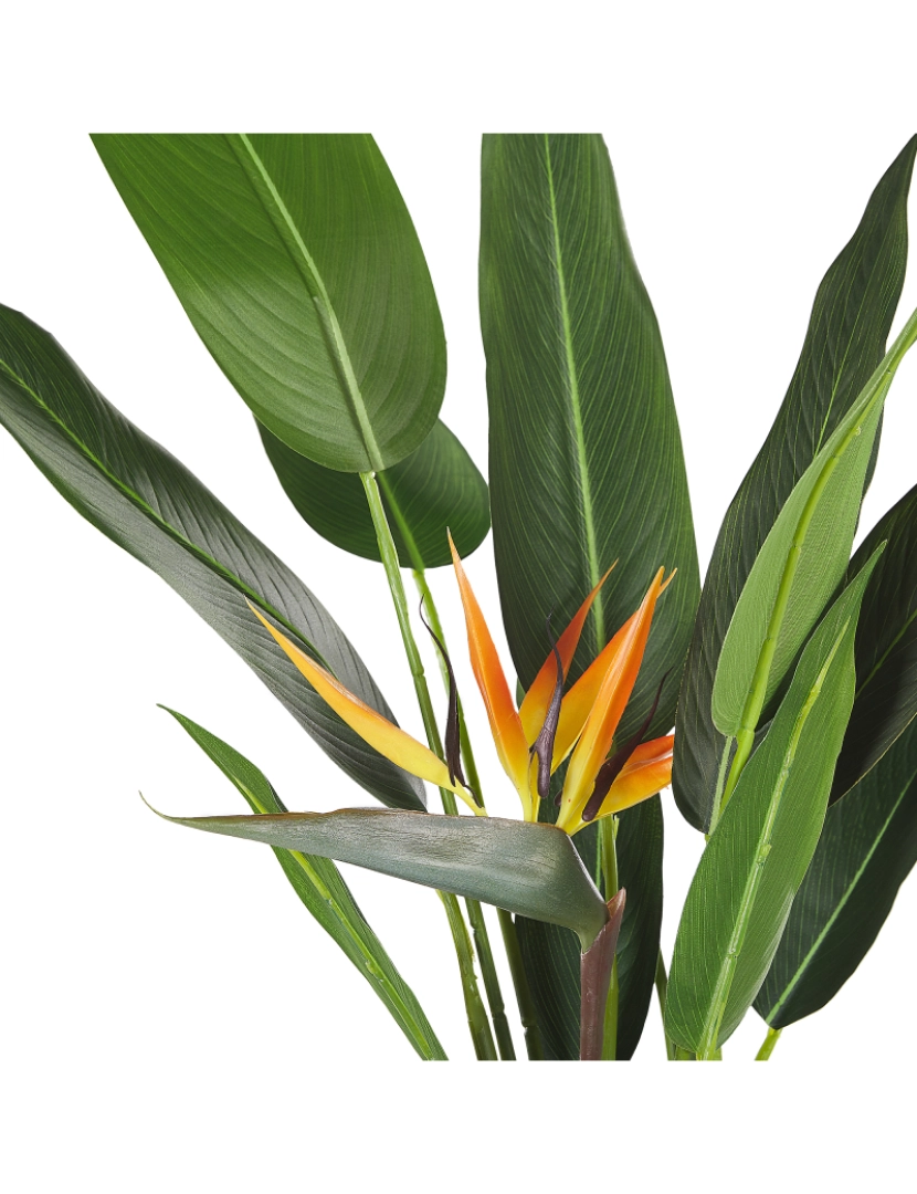 imagem de Planta artificial em vaso 115 cm STRELITZIA TREE4