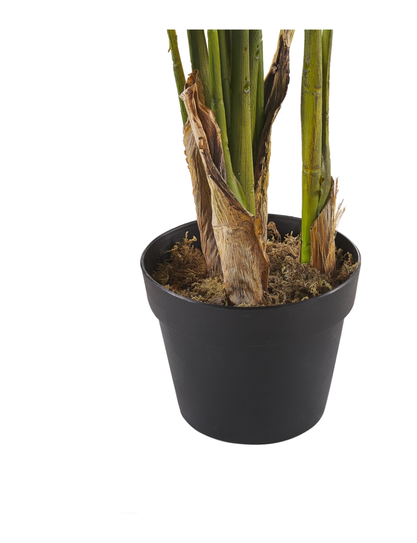 imagem de Planta artificial em vaso 115 cm STRELITZIA TREE5