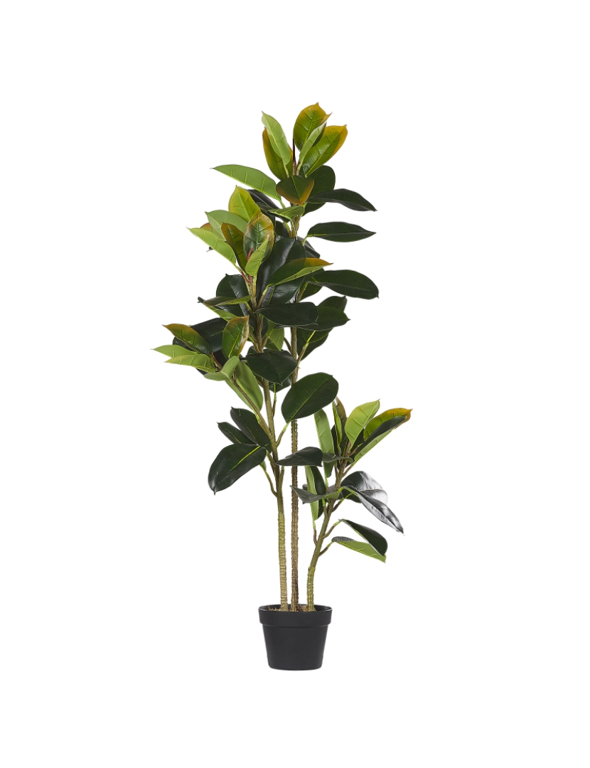 imagem de Planta artificial em vaso 134 cm FICUS ELASTICA2