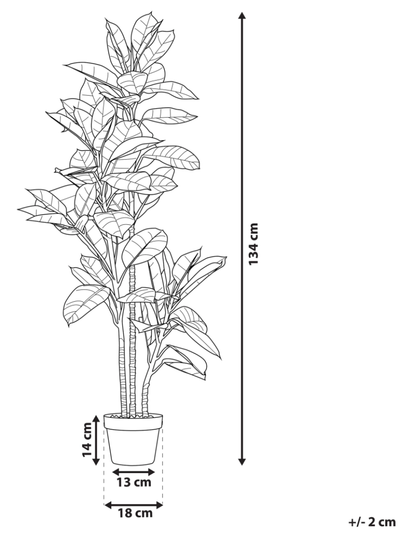 imagem de Planta artificial em vaso 134 cm FICUS ELASTICA3