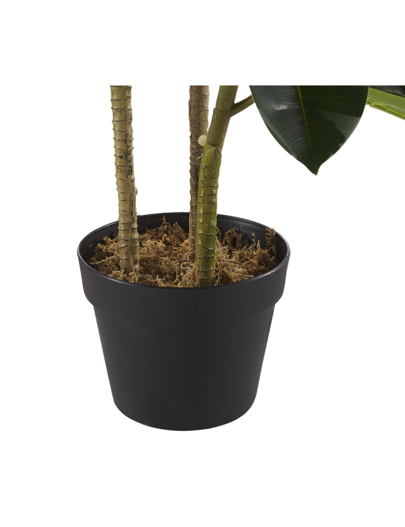 imagem de Planta artificial em vaso 134 cm FICUS ELASTICA5