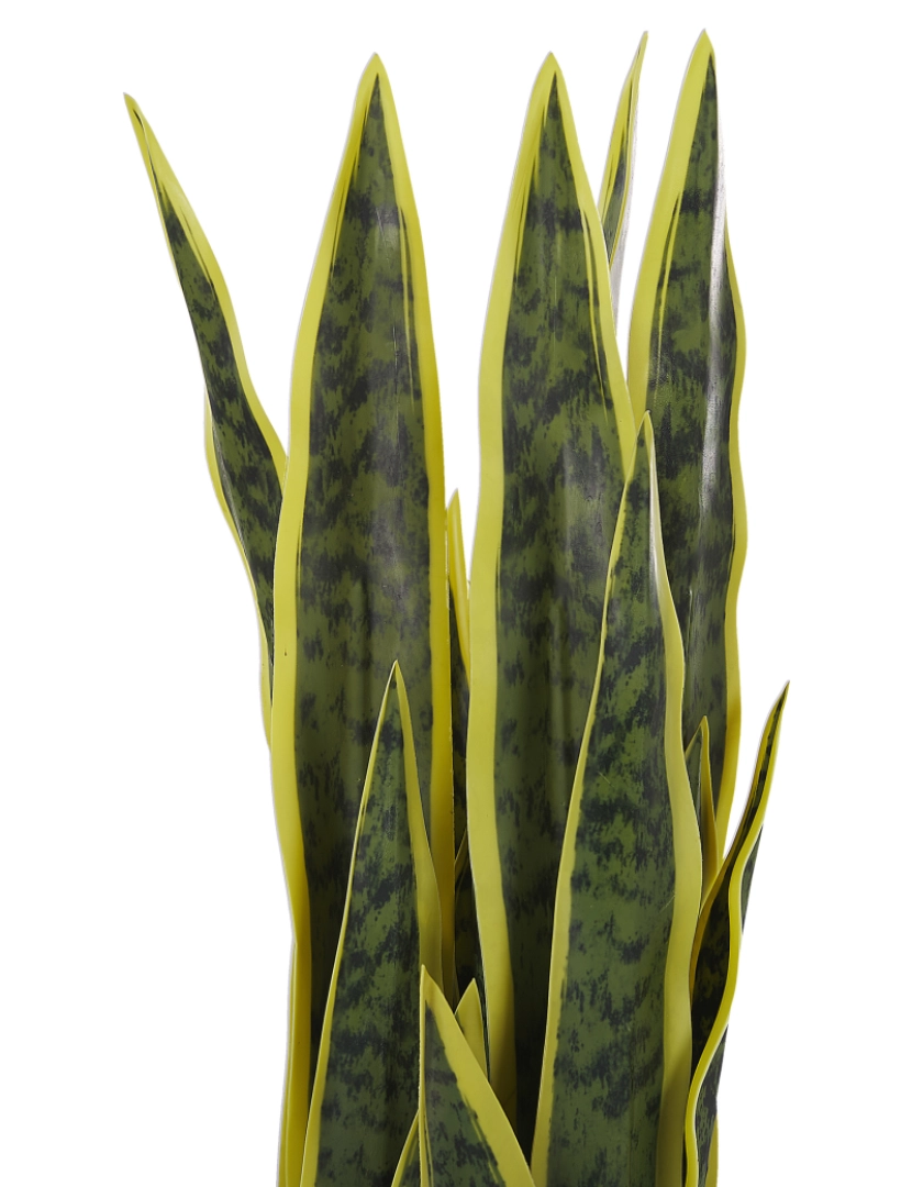 imagem de Planta artificial em vaso 63 cm SNAKE PLANT4