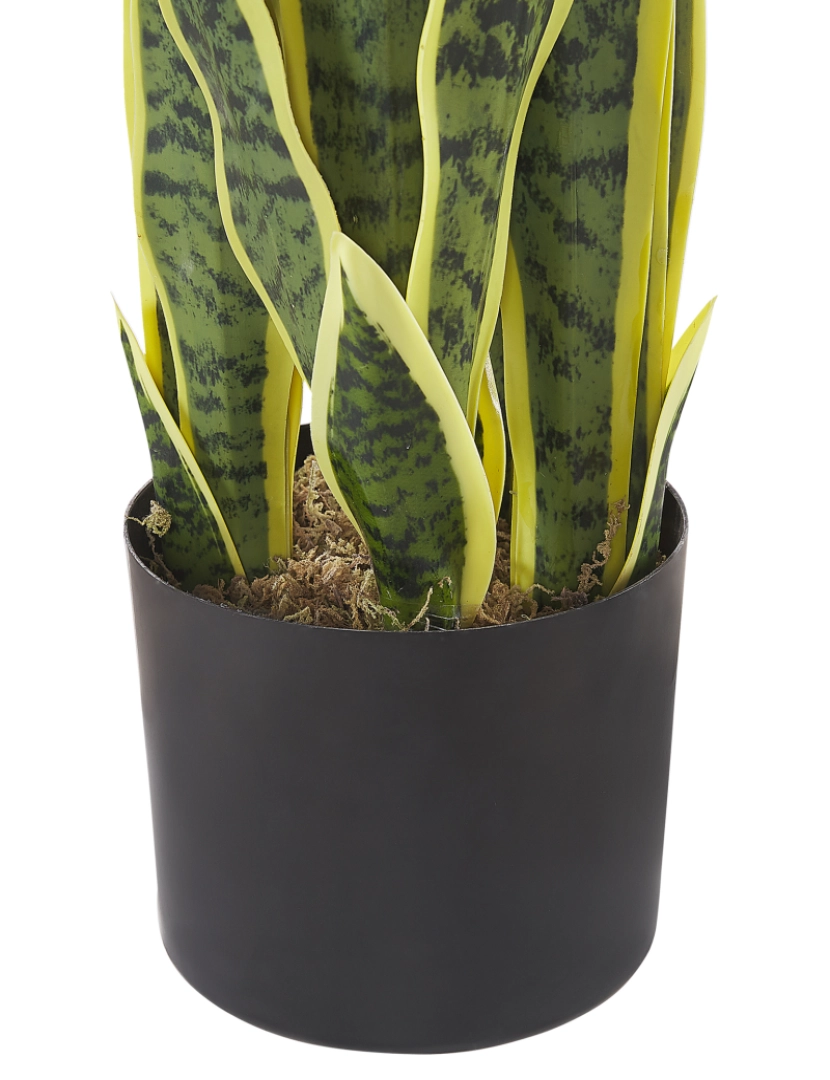 imagem de Planta artificial em vaso 63 cm SNAKE PLANT5