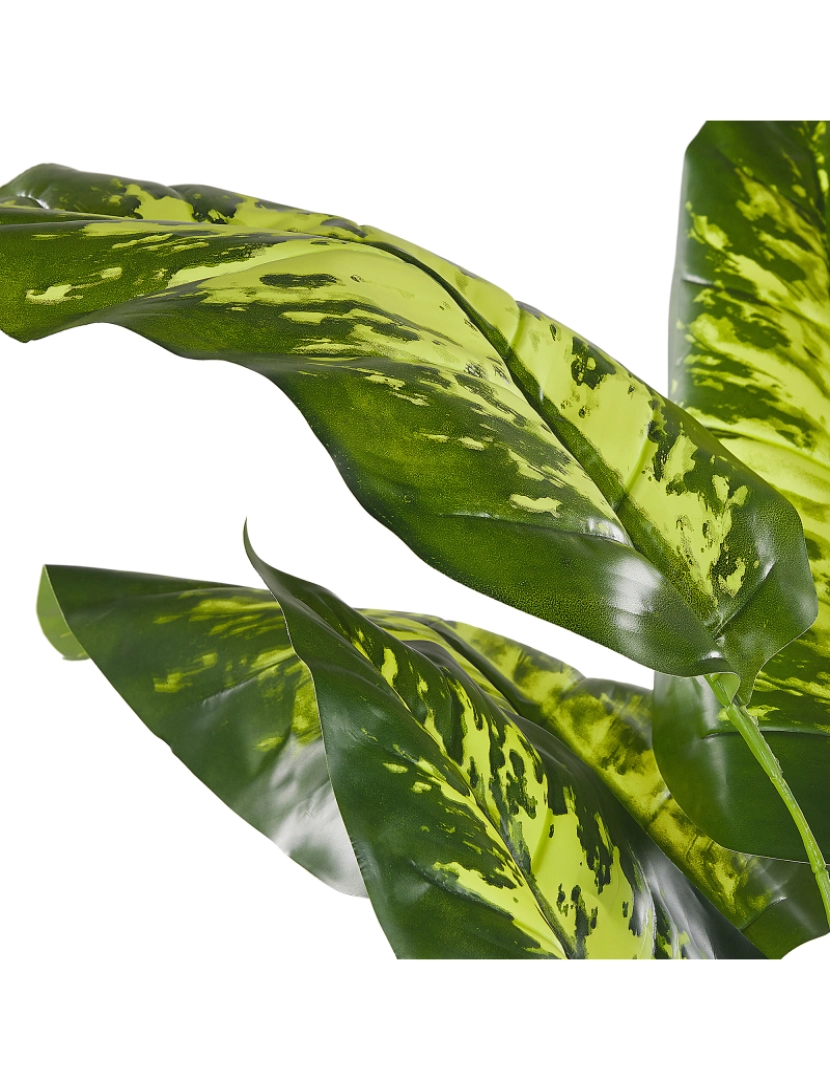 imagem de Planta artificial em vaso 122 cm DIEFFENBACHIA6