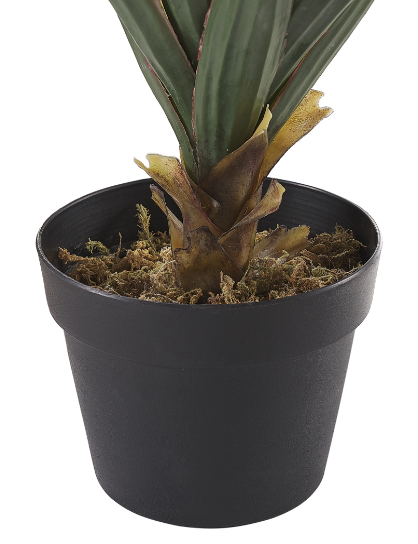 imagem de Planta artificial em vaso 52 cm YUCCA5