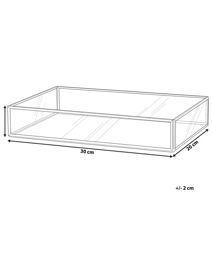 imagem de Bandeja decorativa com efeito espelhado 30 x 20 cm prateada GRENOBLE2