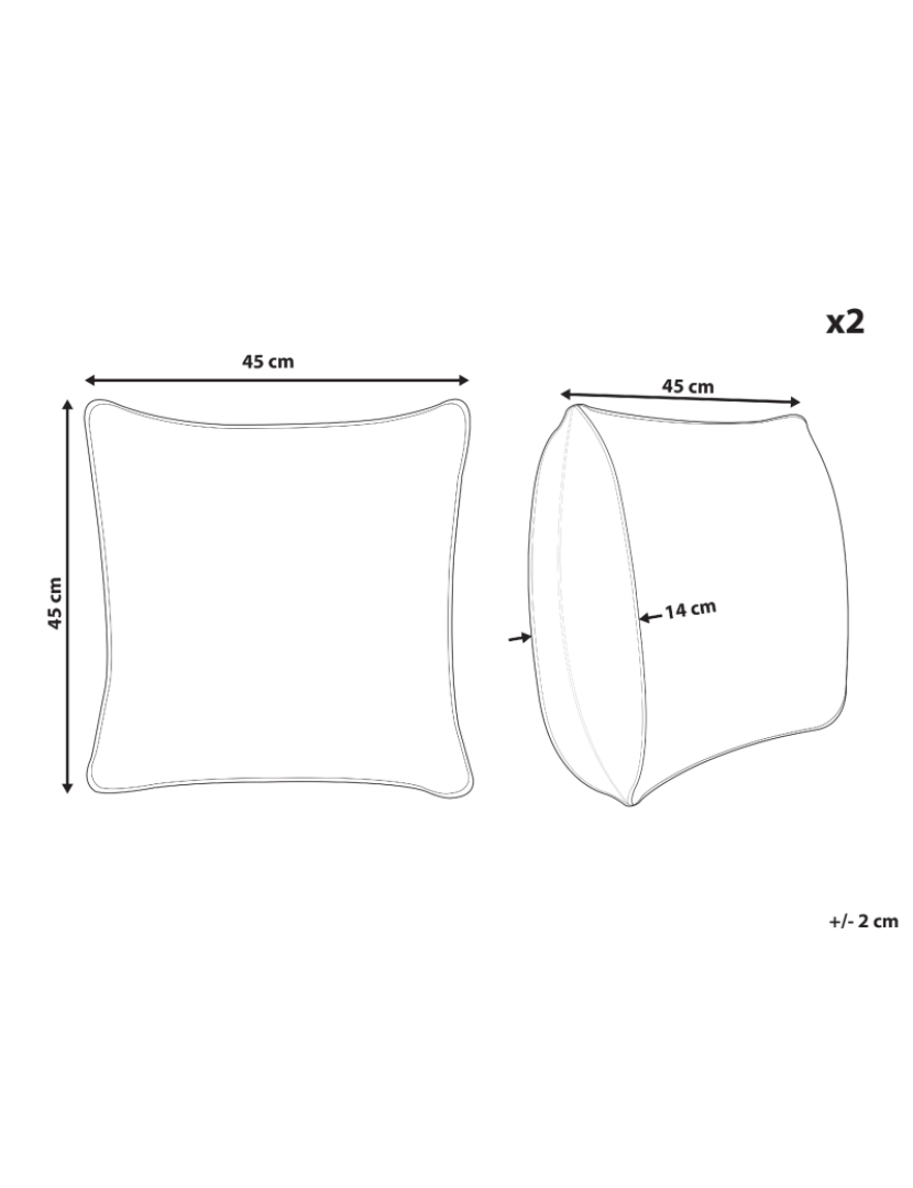 imagem de Conjunto de 2 almofadas Creme PILEA 45 x 45 cm3