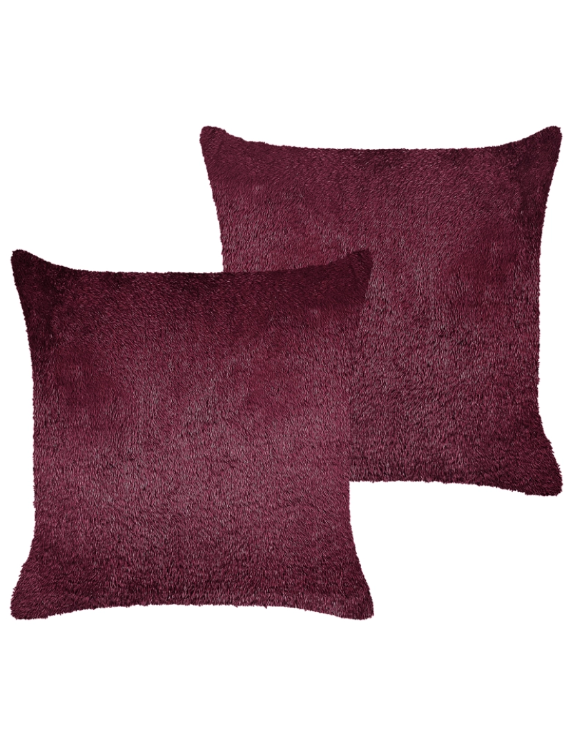 imagem de Conjunto de 2 almofadas Bordeaux PILEA 45 x 45 cm2