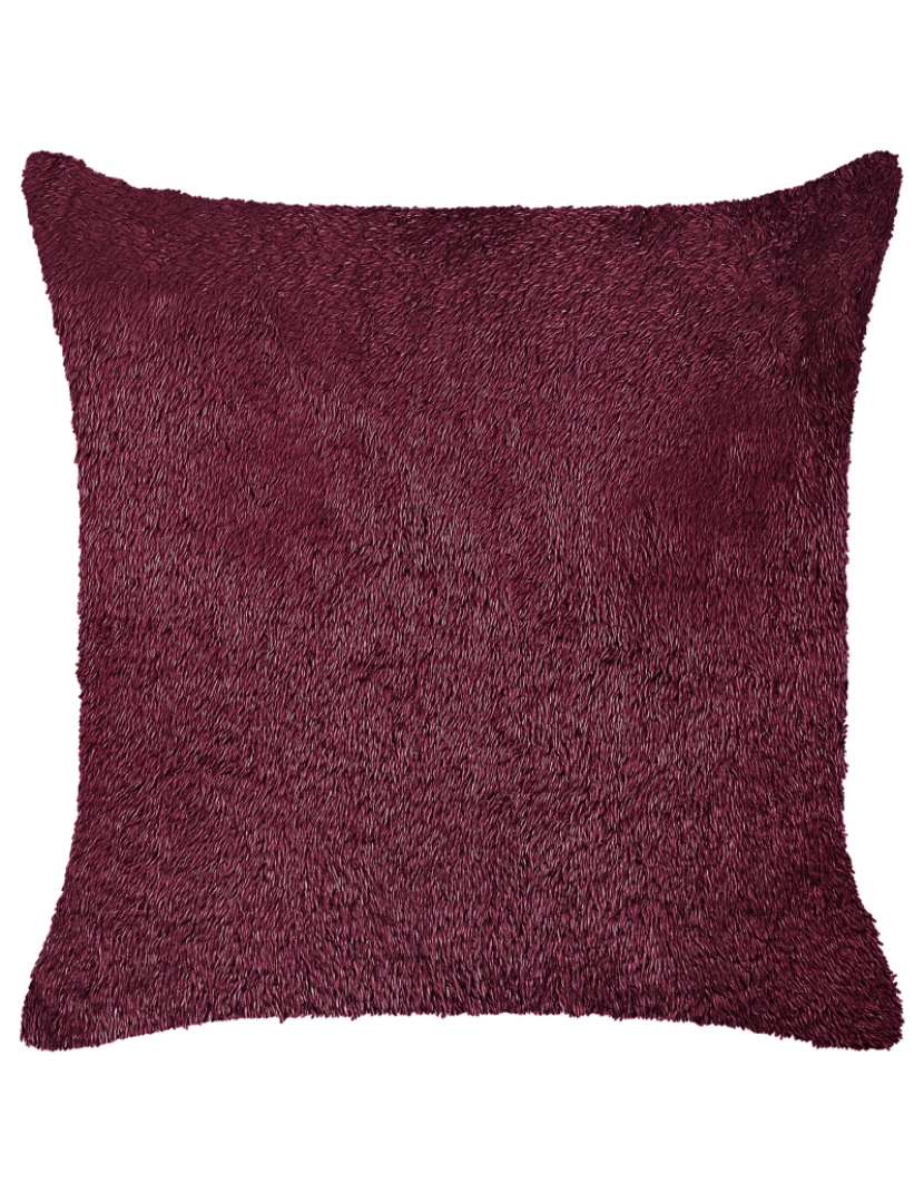 imagem de Conjunto de 2 almofadas Bordeaux PILEA 45 x 45 cm3