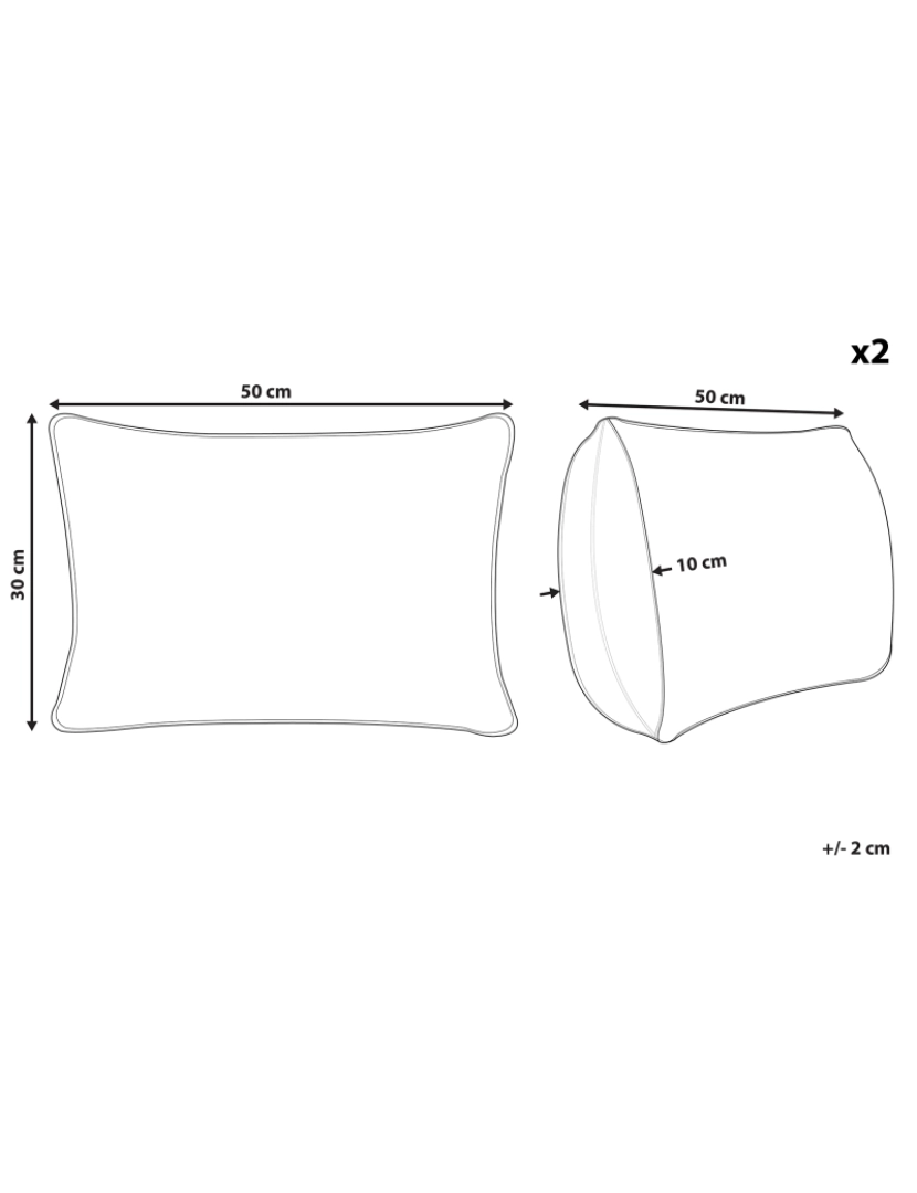 imagem de Conjunto de 2 almofadas Multicolor MELAMPODIUM 30 x 50 cm1