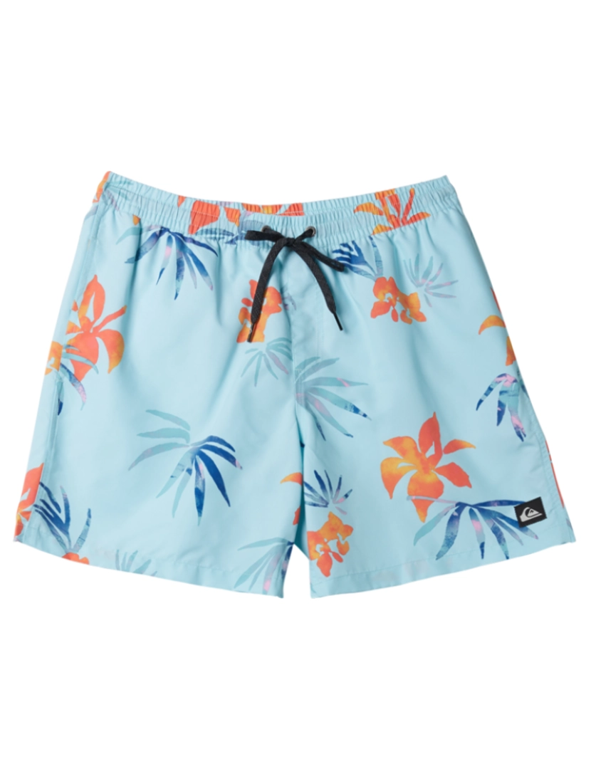 Quiksilver - Boardshorts de Rapaz Azul