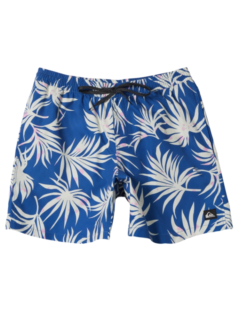 Quiksilver - Boardshorts de Rapaz Azul