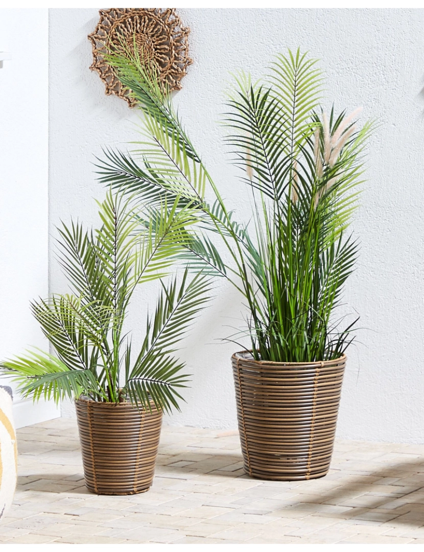 imagem de Conjunto de 2 vasos em rattan castanho SARTI2