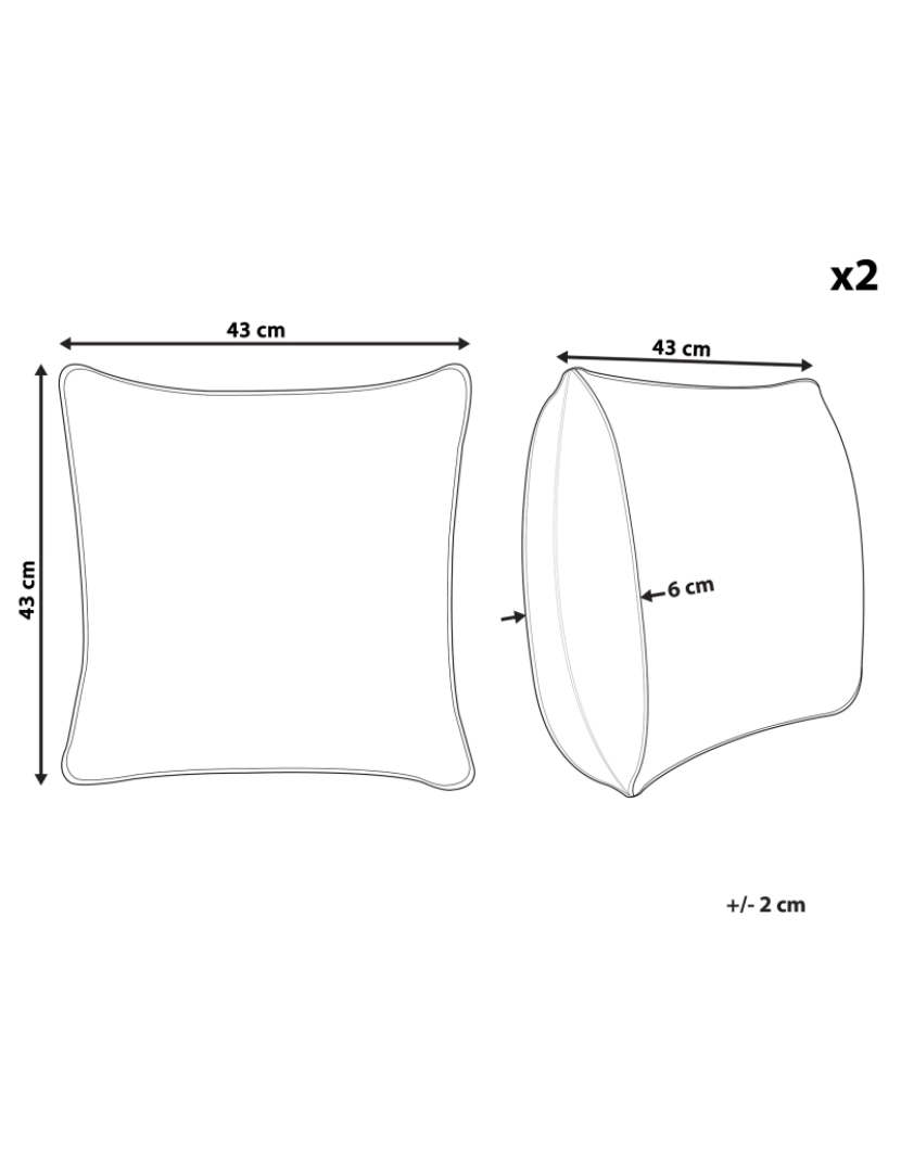 imagem de Conjunto de 2 almofadas Creme CYNARA 43 x 43 cm1