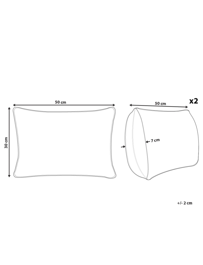 Beliani - Conjunto de 2 almofadas em creme e preto 30 x 50 cm PULMONARIA