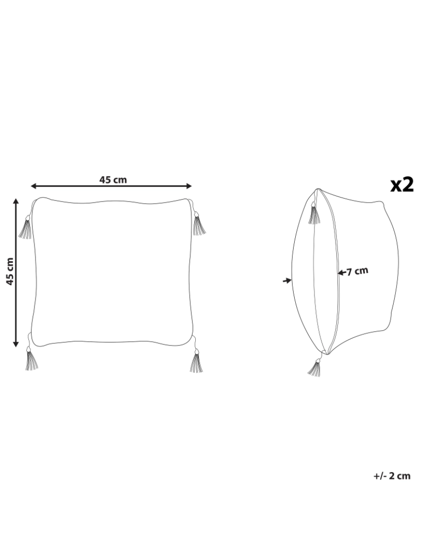 Beliani - Conjunto de 2 almofadas Preto-branco LIRIOPE 45 x 45 cm