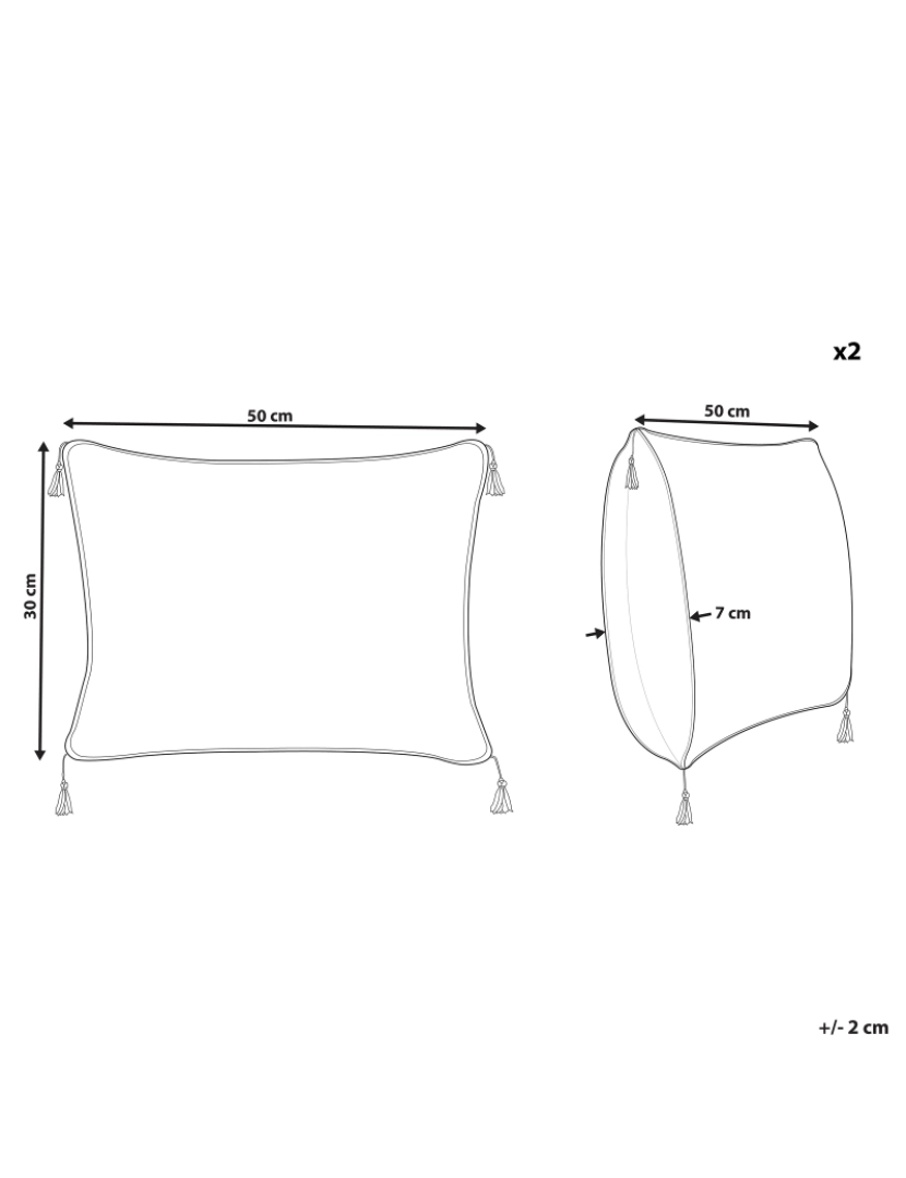 Beliani - Conjunto de 2 almofadas Veludo Branco SCHEFFLERA 30 x 50 cm