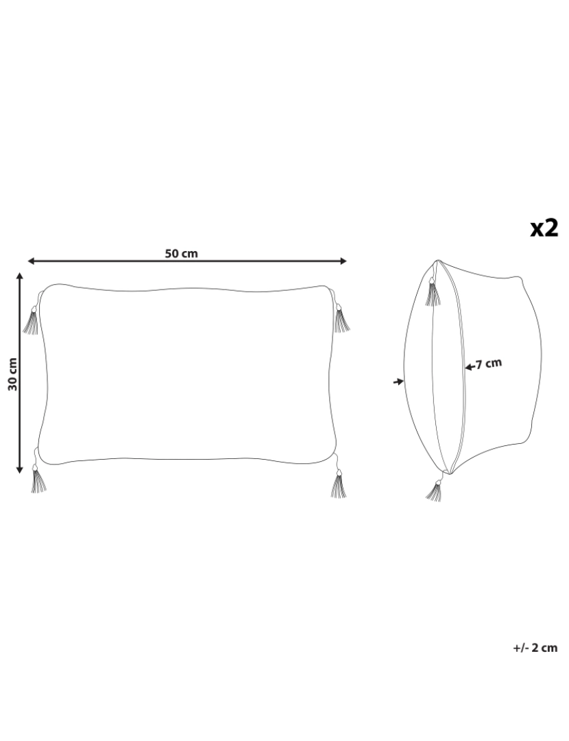 imagem de Conjunto de 2 almofadas Preto-branco LIRIOPE 30 x 50 cm1