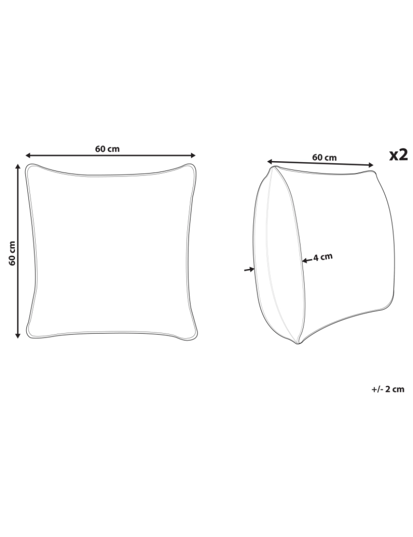 Beliani - Conjunto de 2 almofadas Creme claro WATTLE 60 x 60 cm