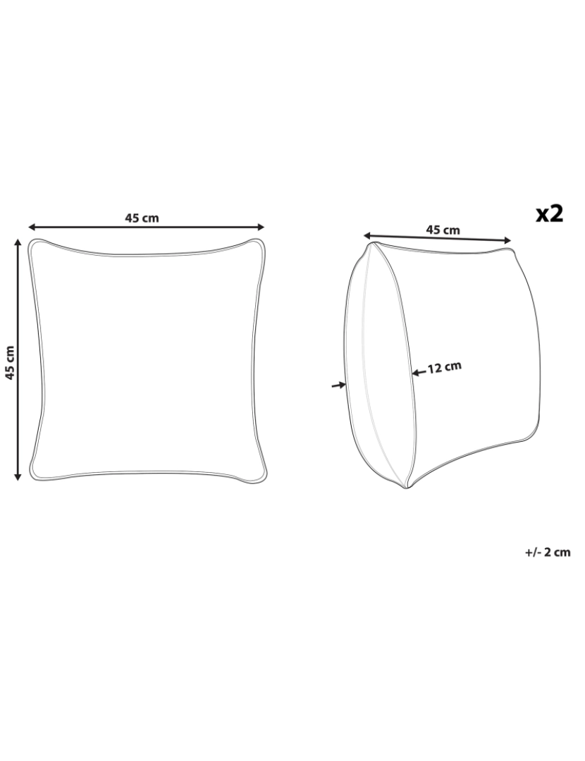 Beliani - Conjunto de 2 almofadas decorativas creme 45 x 45 cm ASLANAPA