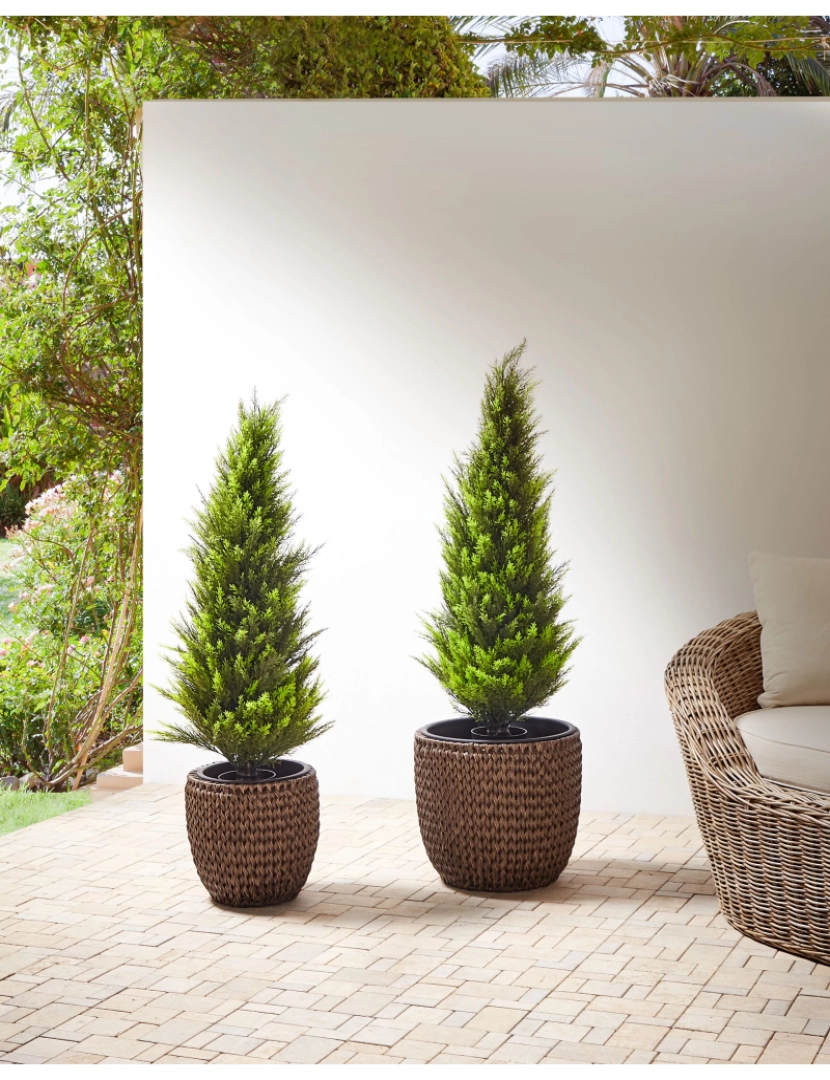 imagem de Conjunto de 2 vasos para plantas em rattan castanho BERBERIS2