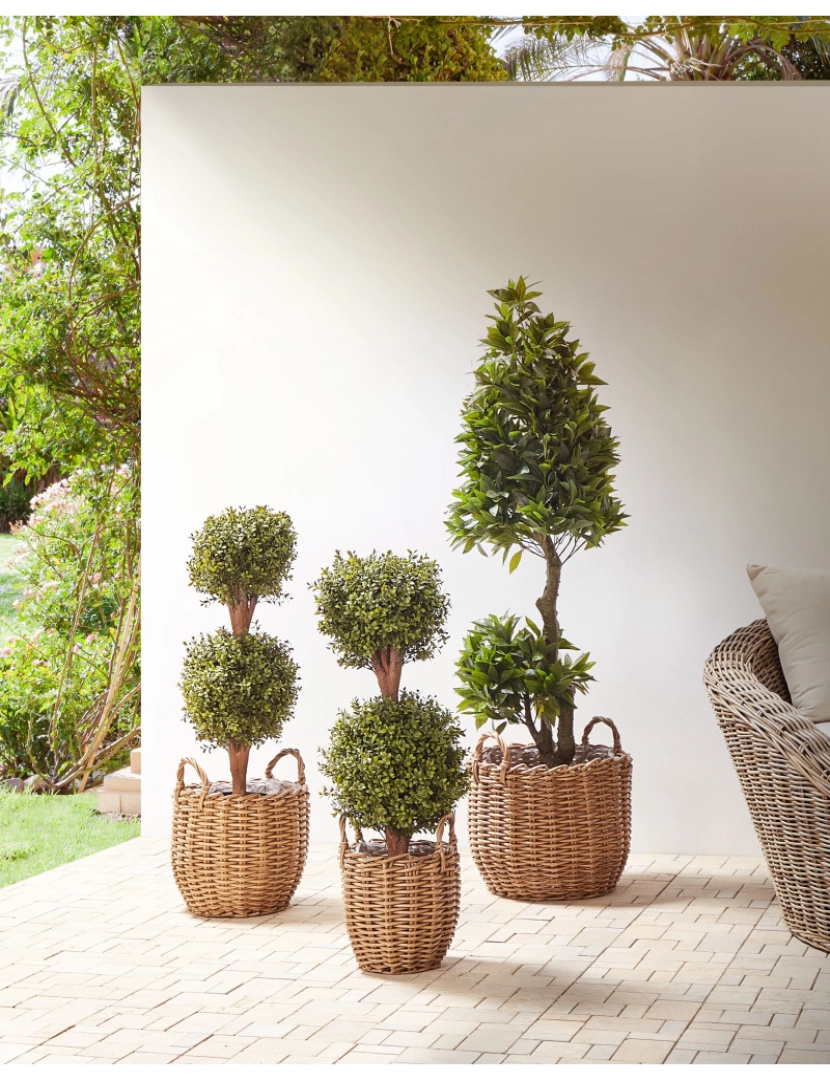 imagem de Conjunto de 3 cestos para plantas em rattan castanho AUCUBA2