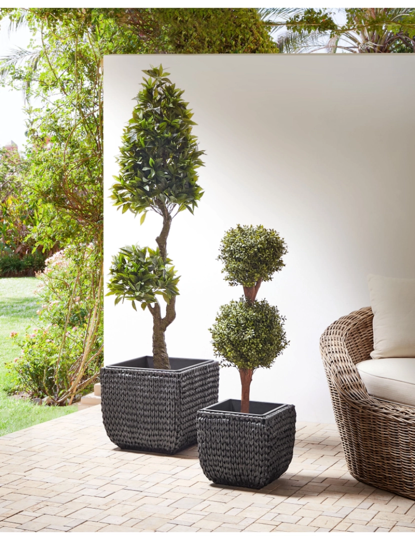 imagem de Conjunto de 2 vasos para plantas em rattan preto BERBERIS2