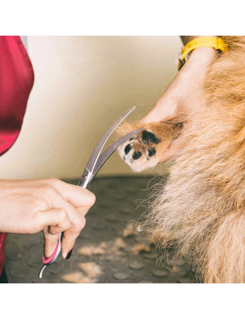 imagem de Tesoura para cachorro dobrada 19 cm Prata/Rosa10