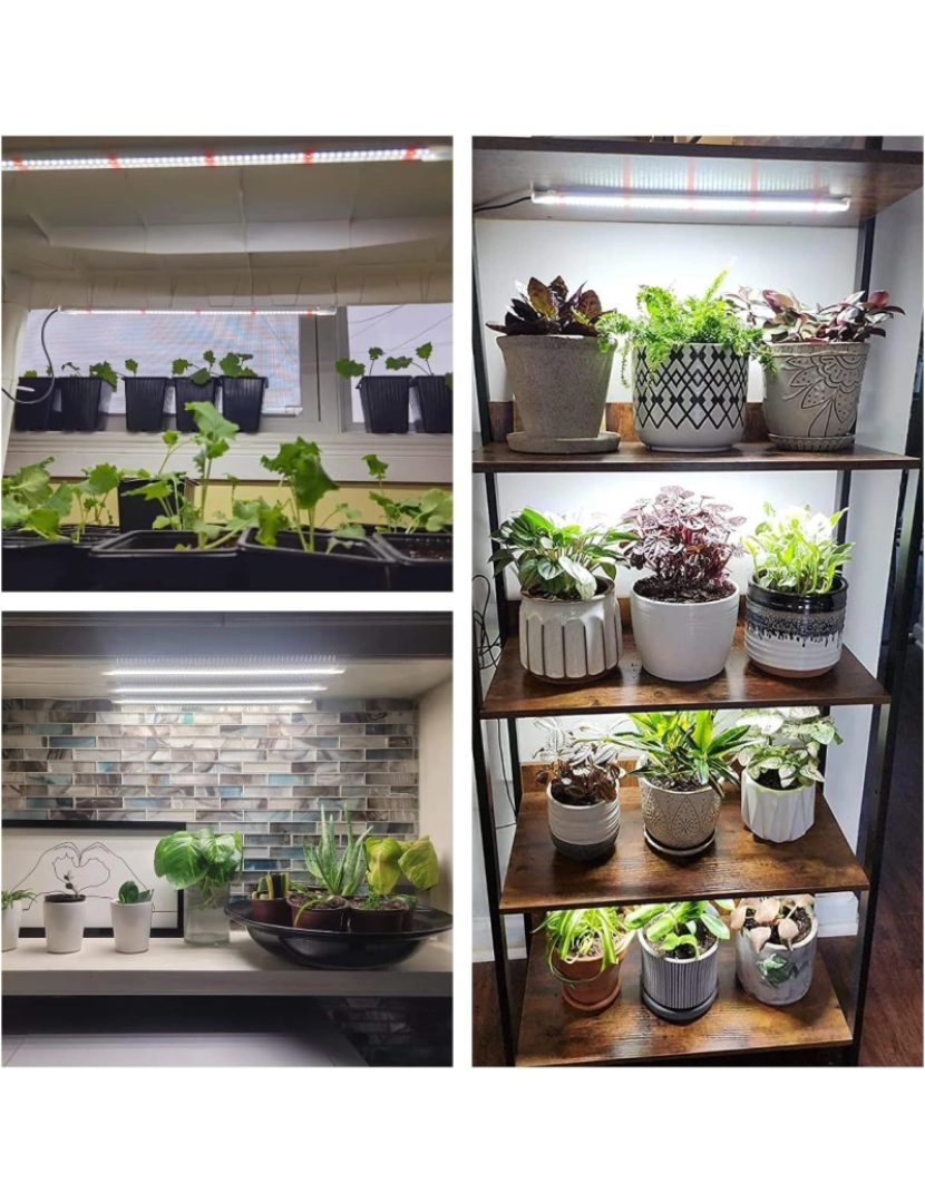 imagem de A iluminação de plantas cresce para plantas de interior, com espectro completo e temporizador White4