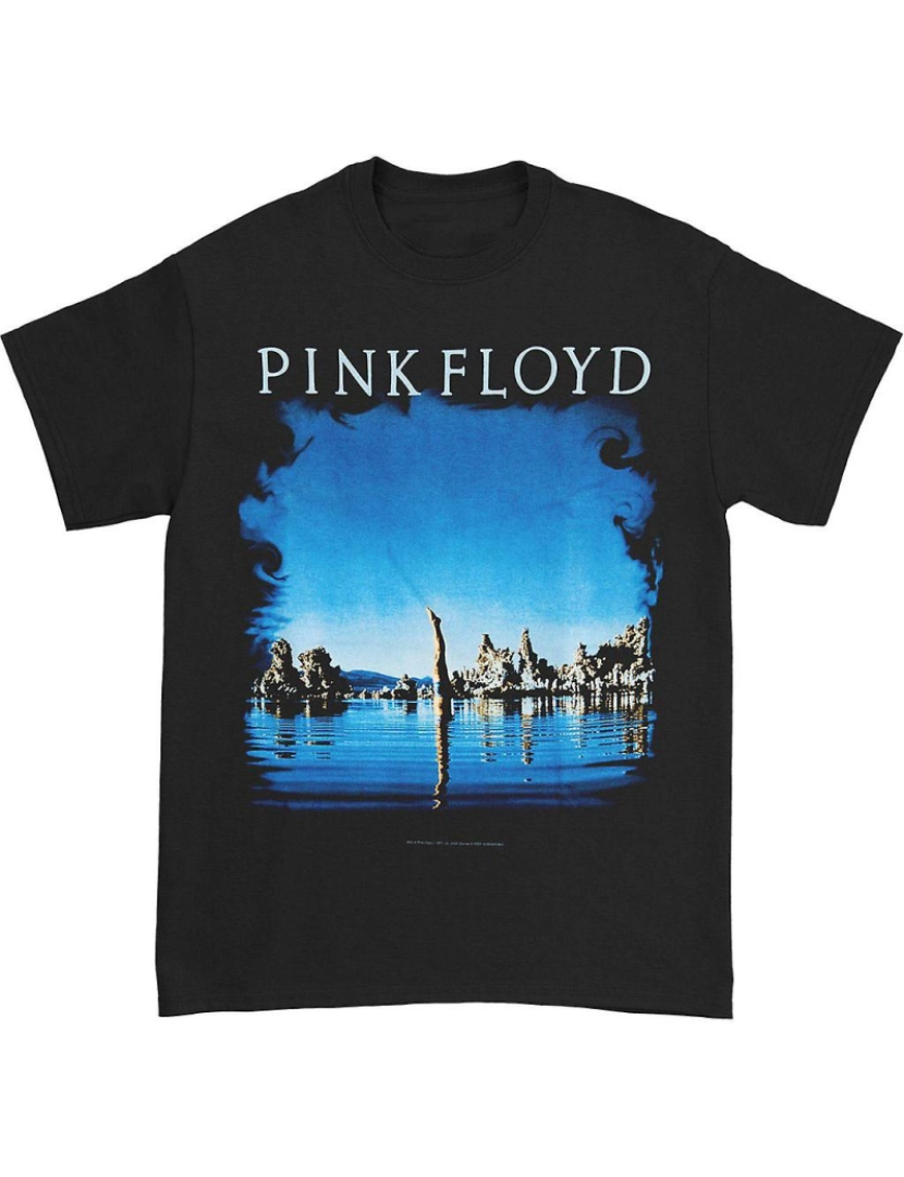 Rockinstone - T-shirt Pink Floyd gostaria que você estivesse aqui de volta