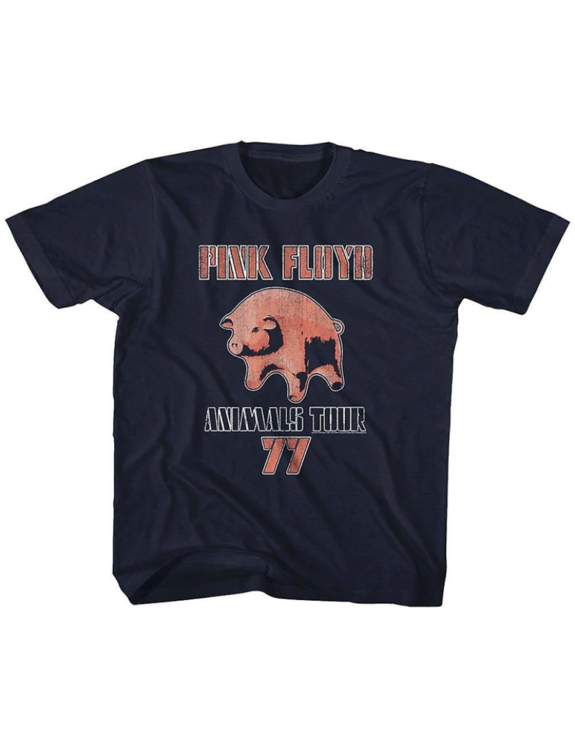 Rockinstone - T-shirt Pink Floyd Tour77 Juventude