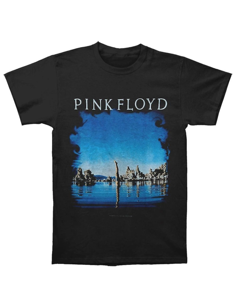 Rockinstone - T-shirt Pink Floyd gostaria que você estivesse aqui de volta