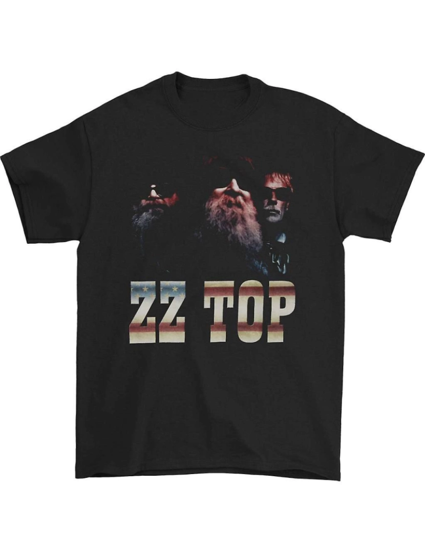 Rockinstone - T-shirt Tour ZZ Top USA Photo 2014