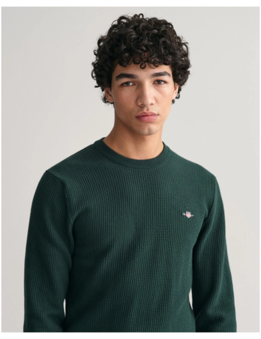 Gant - Pullover de Homem Verde